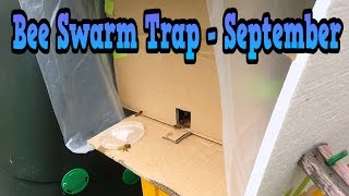 Bee Swarm Trap in September 2014 [upl. by Aneekas]