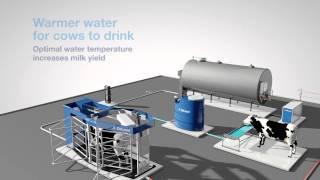 Automated cooling processes for DeLaval VMS milking robot [upl. by Atsyrc]