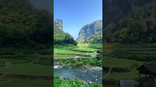 Relaxing River And Bird Sounds  White Noise  relaxing watersounds shorts [upl. by Levenson]