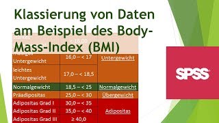 Manuelle Klassierung von Daten in SPSS  Daten analysieren in SPSS 2 [upl. by Kanor17]