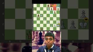 Brilliant Chess Tactic Queen Knight and Bishop Checkmate  R Praggnanandhaa Tribute [upl. by Nehtanoj108]