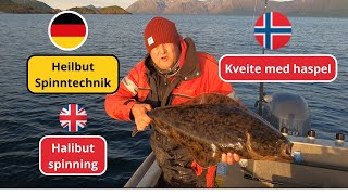 Halibut Spinning Heilbutt mit Spinnruten Kveite med haspelstang [upl. by Hance409]