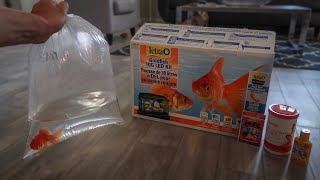 GOLDFISH ONLY AQUARIUM SETUP [upl. by Yannodrahc580]