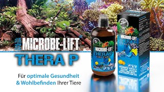 Für gesunde amp vitale Fische im Aquarium  𝐌𝐈𝐂𝐑𝐎𝐁𝐄𝐋𝐈𝐅𝐓 𝐓𝐡𝐞𝐫𝐚 𝐏  Bakterien  100  biologisch [upl. by Sidwell]