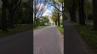 Greidhoek Veendam the Netherlands Spring 2024 travel view netherlands shorts viral bike 2024 [upl. by Alane257]