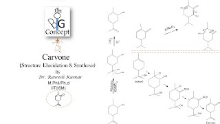 Carvone Structure Elucidation and Synthesisthebigconceptpgtopics6291 [upl. by Nawrocki648]