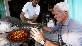 Inspecting Body Of 327 Pound Alligator Gar  CROCODILIA Crocodilia River Monsters [upl. by Michail14]