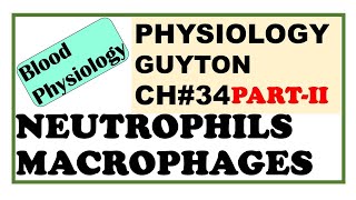 Ch34 PART2 Physiology Guyton  Neutrophils amp Macrophages Introduction to WBCs  Dr Asif Lectures [upl. by Sharma]