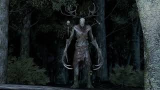 Leshen Sighting  Particle System Test [upl. by Nykal]