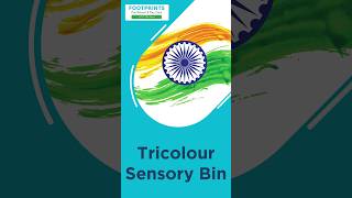 Tricolour Sensory Bin Activity For Kids  Prenursery Series  Footprints Preschool [upl. by Uase]