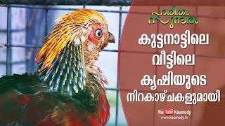 The profitable Home farming in Kuttanad  Haritham Sundaram EP 185 [upl. by Nerac]