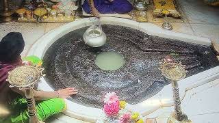 trimbakeshwar Jyotirling nashik maharashtra live darshan [upl. by Anrehs]