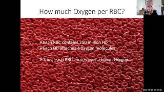 hbio14b erythrocytes 205min [upl. by Thomasina]