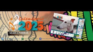 Galgos y Podencos Cantabria lanzamiento Calendario 2025 [upl. by Yrrej]