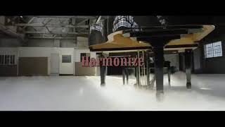 Harmonize  Wapo official video [upl. by Thamos]