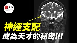 成為天才的秘密3：會讓你大吃一驚的心理事實！思考角度決定一切seeker大师兄 [upl. by Bigford125]