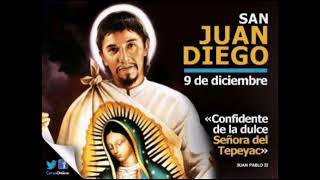 DECEMBER 9TH ST JUAN DIEGO [upl. by Draned]