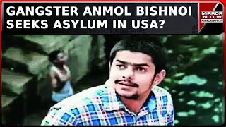 Fugitive Gangster Anmol Bishnoi Sought Asylum In USA To Avoid Deportation To India  Crime News [upl. by Skipp408]