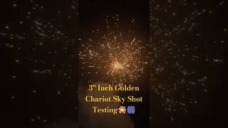 3quot Inch Golden Chariot Fireworks Sky Shot Testing Lighting Up the Night from 15 Floors Up [upl. by Aimee979]