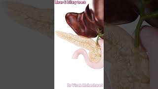 liver and biliary tract [upl. by Sitto]