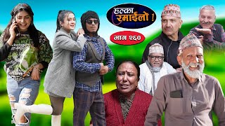 Halka Ramailo  हल्का रमाईलो  Episode 260  08 Dec  2024  Balchhi Dhurbe  Nepali Comedy [upl. by Lorenzana]