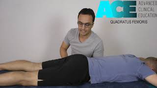 Soft Tissue Technique for Quadratus Femoris [upl. by Bekha920]