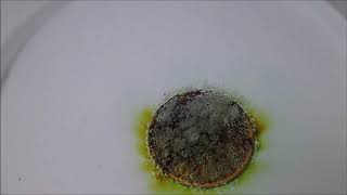 Coin in peracetic acid reaction [upl. by Nivat]