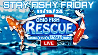 Stay Fishy Friday livestream 111524 [upl. by Sollie]