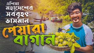 এশিয়া মহাদেশের সর্ববৃহৎ ভাসমান পেয়ারা বাজার বরিশাল ভাসমান পেয়ারা বাজার  Solyman Limon [upl. by Lednew]