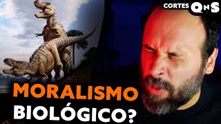 Por que não há documentários sobre a vida s3xual dos dinossauros [upl. by Nilhsa]