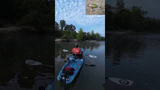 Smallmouth Bass on Crooked Creek  Kayak Fishing  Bonafide RVR 119  Nature [upl. by Neeluqcaj]