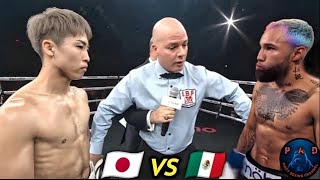 NAOYA INOUE VS LUIS NERY FULL FIGHT CLOSER LOOK [upl. by Adnilreb]