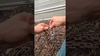 DIY Automatic Self Closing Gate WhittAcres homesteadinglife enjoynaturetoday [upl. by Johnson163]