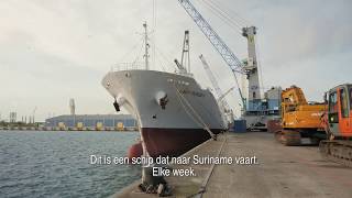 Onze Haven 2020 Breakbulk houtimport en duurzame glastuinbouw aflevering 4 [upl. by Ylac]