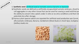 Application of tissue culture Oct 17 2024 [upl. by Aynotel682]