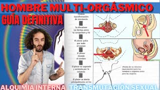 ► Hombre MultiOrgásmico  Guía Definitiva de Transmutación y Alquimia Sexual [upl. by Dodson]