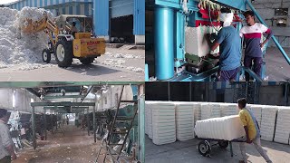 Cotton Ginning Process  Cotton Ginning Machine cotton loading at factory [upl. by Ahsirahc]