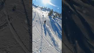 Want the BEST Skiing Experience in Utah Watch This Now [upl. by Scever]