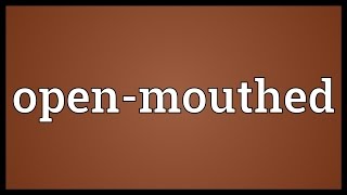 Openmouthed Meaning [upl. by Anitniuq]