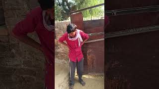 Insani kutta shekhawatichandu 😄😛😅 comedy funny shorts viral [upl. by Spence51]