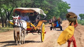 100 Year Old Culture Of Village Punjab Pakistan Near India Pakistan Border [upl. by Dania692]