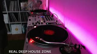 Deep House  Classic House  Vinyl Mix  mixed by dAnWa [upl. by Kiri968]