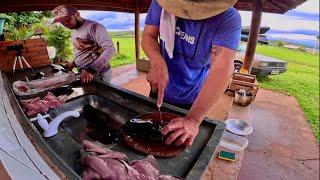 MUITA CHUVA E MUITO PEIXE Preparamos Filé de Peixe Frito e Sashimi Camaronês [upl. by Ireland]