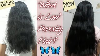 What is Low Porosity Hair How to make Them Silky and Shiny  Full Haircare Routine  Glow Yourself [upl. by Nylloh732]