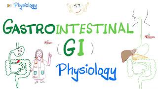 Gastrointestinal GI Physiology…The Basics Introduction  Physiology Series [upl. by Lynnelle]