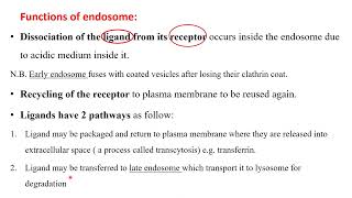 endosomes and proteasomes [upl. by Ocramed]