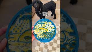 Longest lasting enrichment for dogs [upl. by Ayoral]