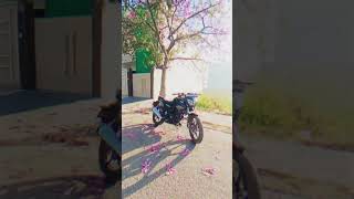 bollywood song YouTube short video [upl. by Etnuaed]