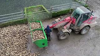 Beet Chopping Bucket  Cross Agricultural Engineering [upl. by Netram805]