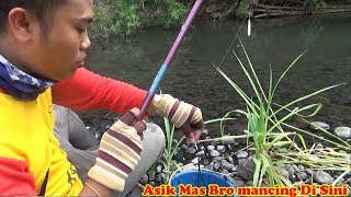 Yang Hobi Mancing Bakalan Betah Mancing DisiniLihat Kalau Gak Percaya [upl. by Pease]